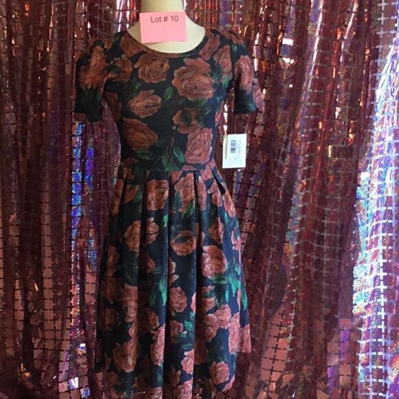 NWT LULAROE AMELIA dress in size extra small vintage rose design - Picture 2 of 15